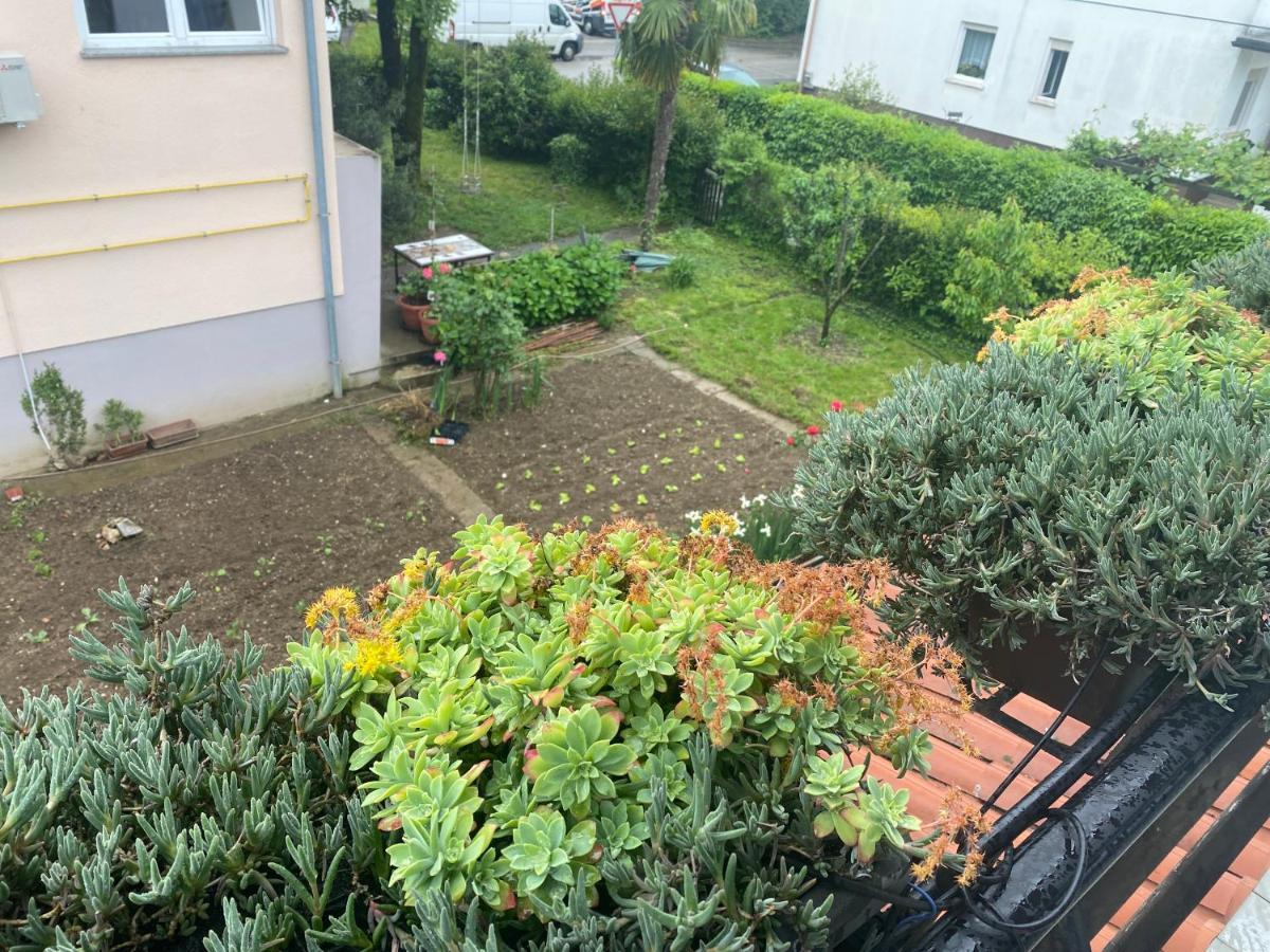 Apartma Magnolija 노바고리차 외부 사진
