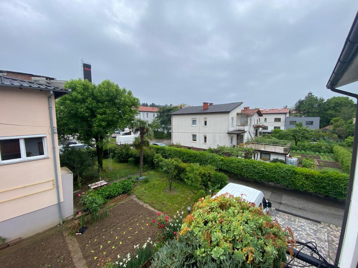Apartma Magnolija 노바고리차 외부 사진